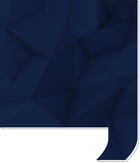 About K-Force Security