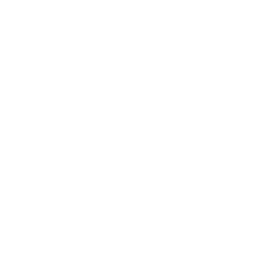 Vision Vision